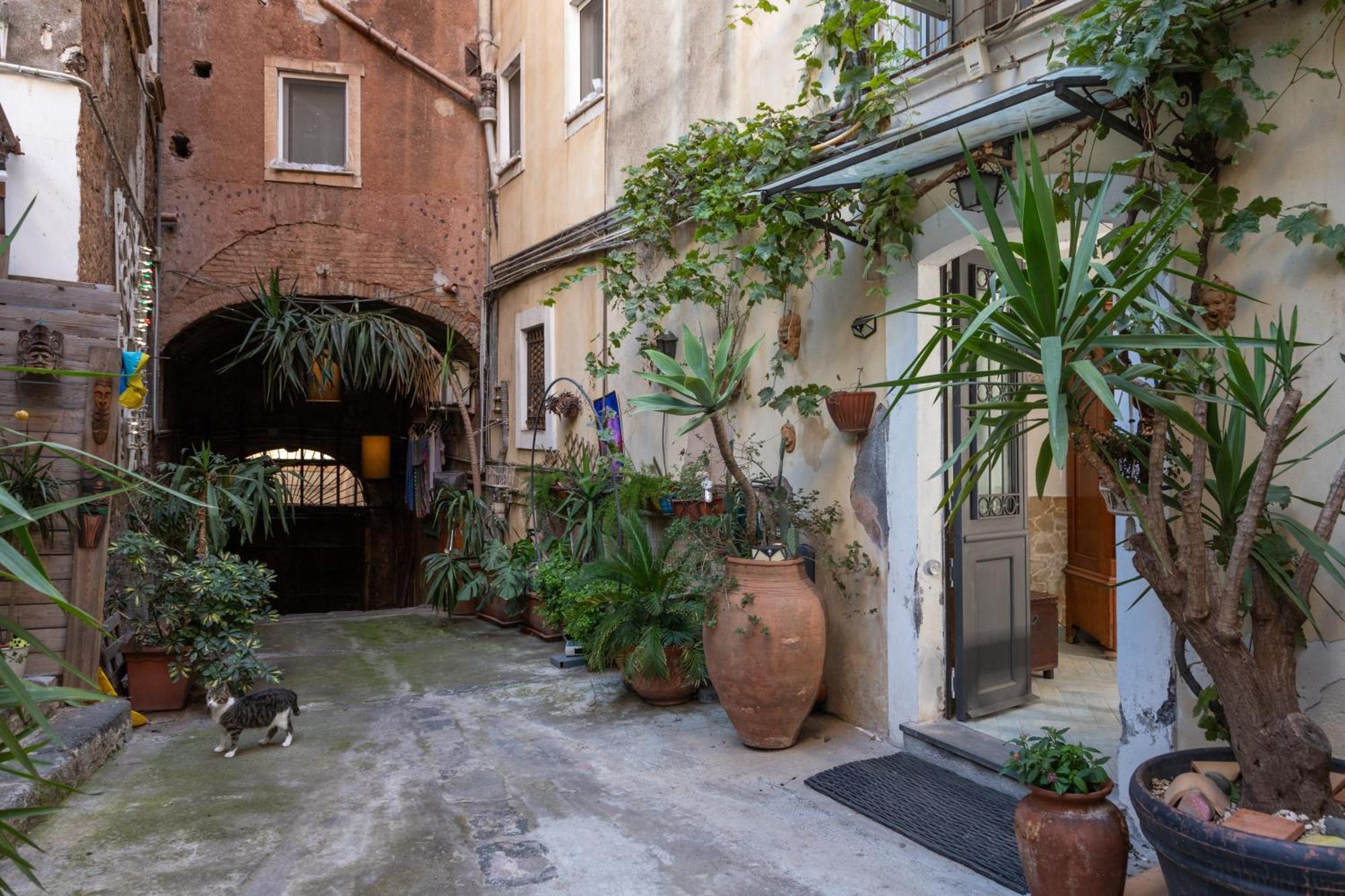 Cortile San Michele Βίλα Κατάνια Εξωτερικό φωτογραφία
